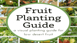 FRUIT PLANTING GUIDE: A VISUAL GUIDE FOR LOW DESERT FRUIT